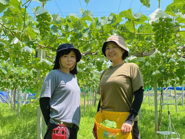 サンプルイメージ